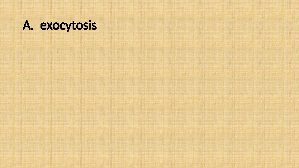 A. exocytosis 