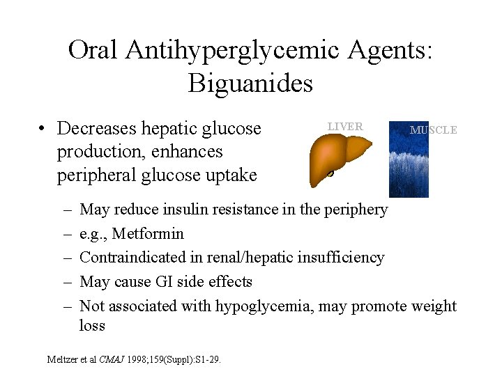 Oral Antihyperglycemic Agents: Biguanides • Decreases hepatic glucose production, enhances peripheral glucose uptake –