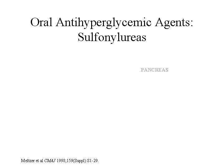 Oral Antihyperglycemic Agents: Sulfonylureas • Stimulate pancreatic insulin release PANCREAS – e. g. ,