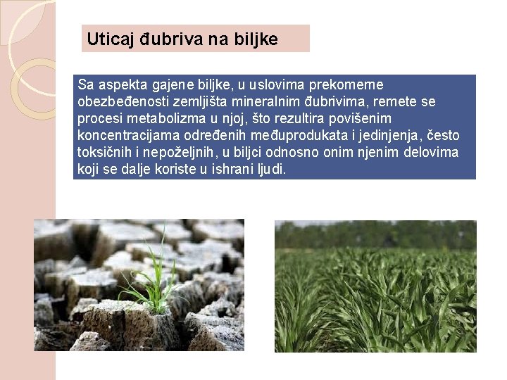 Uticaj đubriva na biljke Sa aspekta gajene biljke, u uslovima prekomerne obezbeđenosti zemljišta mineralnim