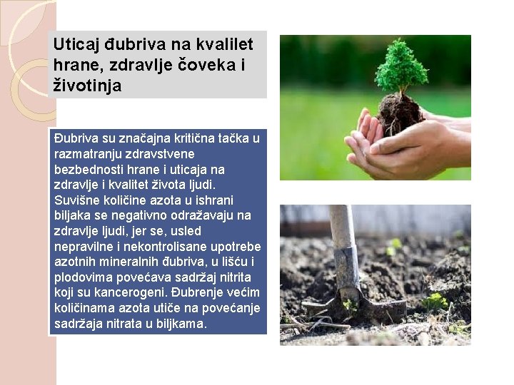 Uticaj đubriva na kvalilet hrane, zdravlje čoveka i životinja Đubriva su značajna kritična tačka