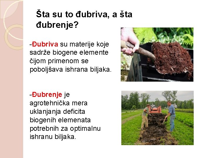 Šta su to đubriva, a šta đubrenje? Đubriva su materije koje sadrže biogene elemente