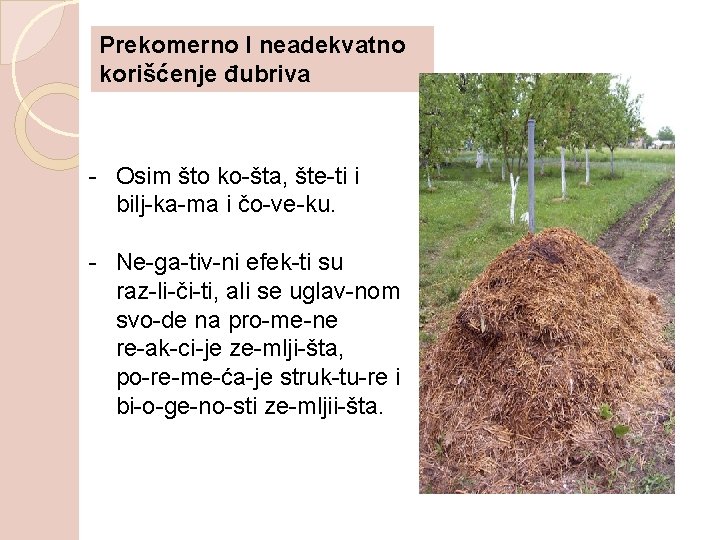 Prekomerno I neadekvatno korišćenje đubriva Osim što ko šta, šte ti i bilj ka