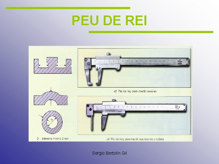 PEU DE REI Sergio Bertolín Gil 