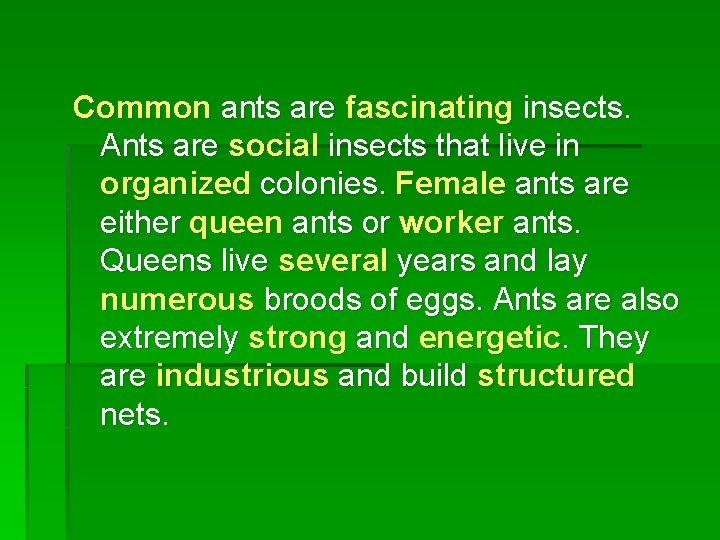 Common ants are fascinating insects. Ants are social insects that live in organized colonies.
