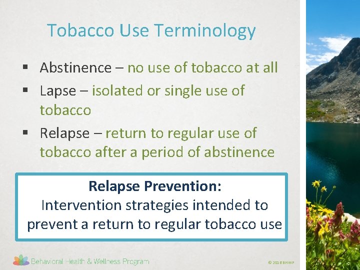 Tobacco Use Terminology § Abstinence – no use of tobacco at all § Lapse