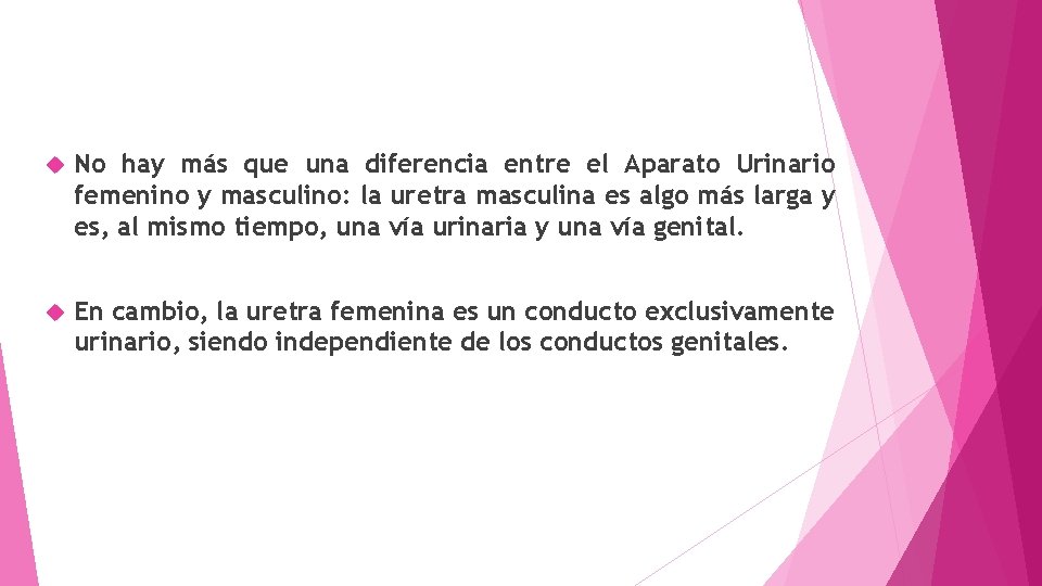  No hay más que una diferencia entre el Aparato Urinario femenino y masculino: