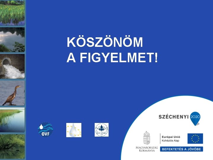 KÖSZÖNÖM A FIGYELMET! 