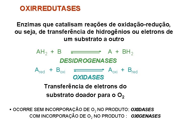 OXIRREDUTASES Enzimas que catalisam reações de oxidação-redução, ou seja, de transferência de hidrogênios ou