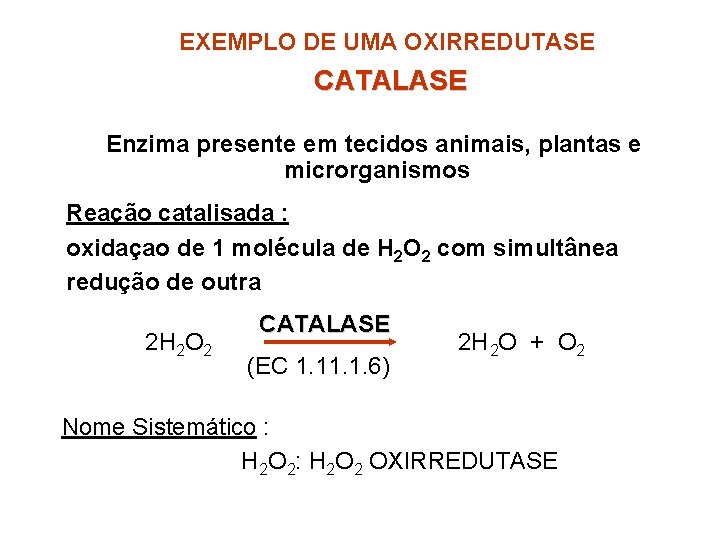 EXEMPLO DE UMA OXIRREDUTASE CATALASE Enzima presente em tecidos animais, plantas e microrganismos Reação