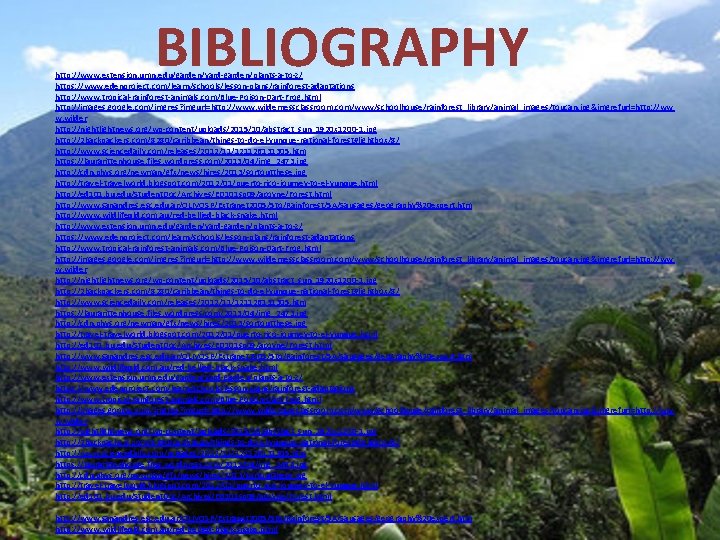 BIBLIOGRAPHY http: //www. extension. umn. edu/garden/yard-garden/plants-a-to-z/ https: //www. edenproject. com/learn/schools/lesson-plans/rainforest-adaptations http: //www. tropical-rainforest-animals. com/Blue-Poison-Dart-Frog. BIBLIOGRAPHY http: //www. extension. umn. edu/garden/yard-garden/plants-a-to-z/ https: //www. edenproject. com/learn/schools/lesson-plans/rainforest-adaptations http: //www. tropical-rainforest-animals. com/Blue-Poison-Dart-Frog.