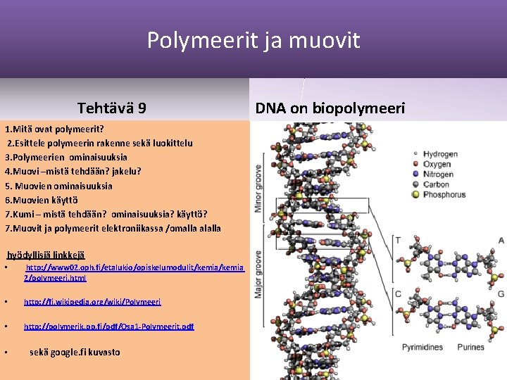 Polymeerit ja muovit Tehtävä 9 1. Mitä ovat polymeerit? 2. Esittele polymeerin rakenne sekä