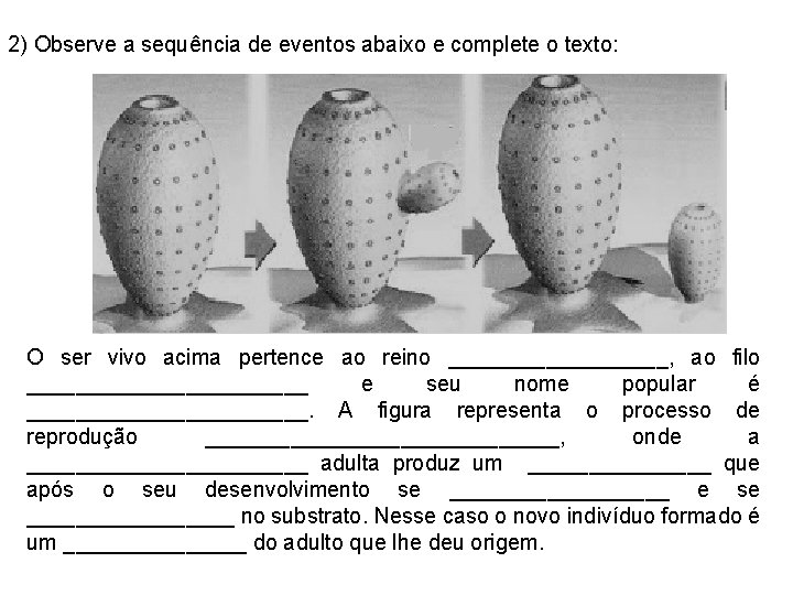 2) Observe a sequência de eventos abaixo e complete o texto: O ser vivo