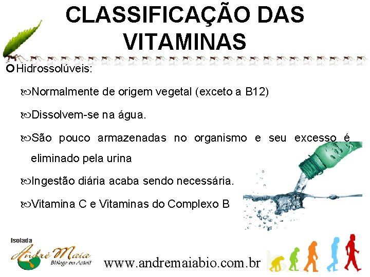 CLASSIFICAÇÃO DAS VITAMINAS Hidrossolúveis: Normalmente de origem vegetal (exceto a B 12) Dissolvem-se na