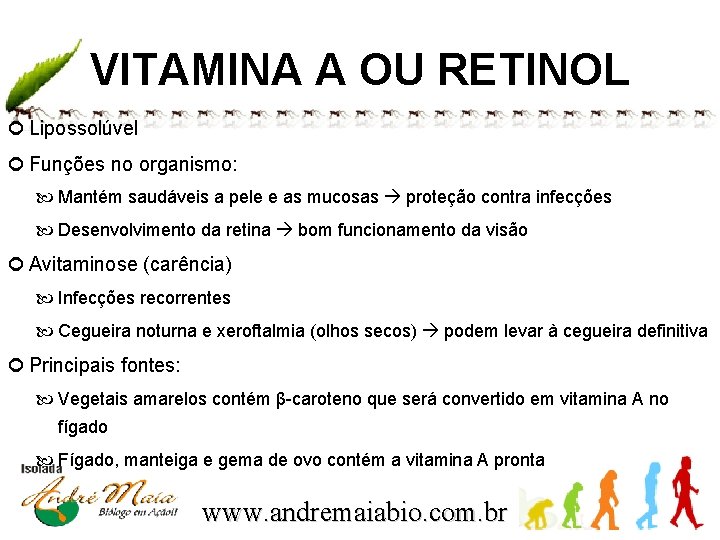 VITAMINA A OU RETINOL Lipossolúvel Funções no organismo: Mantém saudáveis a pele e as