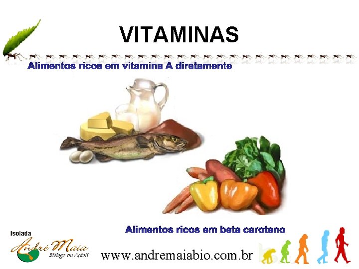 VITAMINAS www. andremaiabio. com. br 