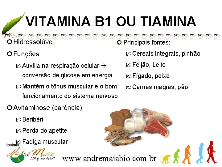VITAMINA B 1 OU TIAMINA Hidrossolúvel Principais fontes: Cereais integrais, pinhão Funções: Auxilia na
