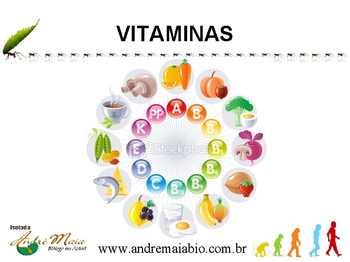 VITAMINAS www. andremaiabio. com. br 