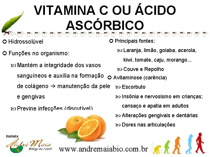 VITAMINA C OU ÁCIDO ASCÓRBICO Principais fontes: Hidrossolúvel Funções no organismo: Mantém a integridade