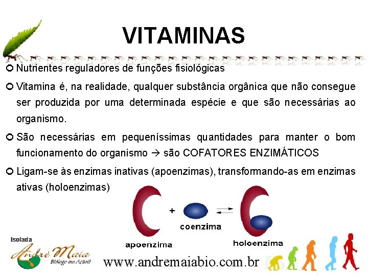 VITAMINAS Nutrientes reguladores de funções fisiológicas Vitamina é, na realidade, qualquer substância orgânica que
