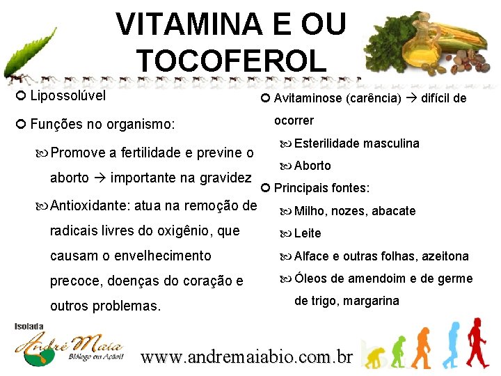 VITAMINA E OU TOCOFEROL Lipossolúvel Avitaminose (carência) difícil de Funções no organismo: Promove a
