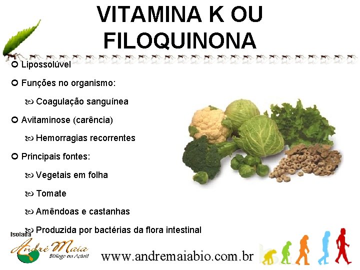 VITAMINA K OU FILOQUINONA Lipossolúvel Funções no organismo: Coagulação sanguínea Avitaminose (carência) Hemorragias recorrentes
