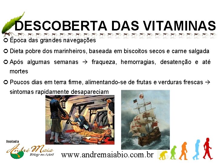 DESCOBERTA DAS VITAMINAS Época das grandes navegações Dieta pobre dos marinheiros, baseada em biscoitos