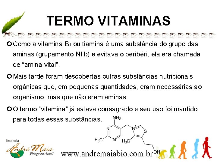 TERMO VITAMINAS Como a vitamina B 1 ou tiamina é uma substância do grupo