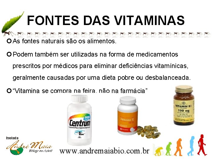 FONTES DAS VITAMINAS As fontes naturais são os alimentos. Podem também ser utilizadas na