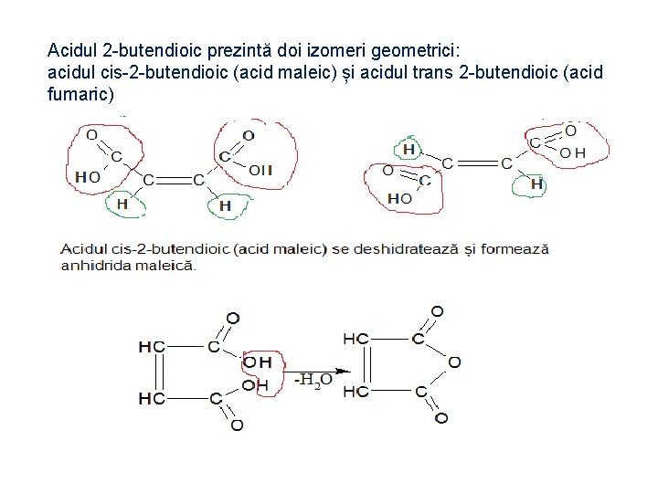 Acidul 2 -butendioic prezintă doi izomeri geometrici: acidul cis-2 -butendioic (acid maleic) și acidul