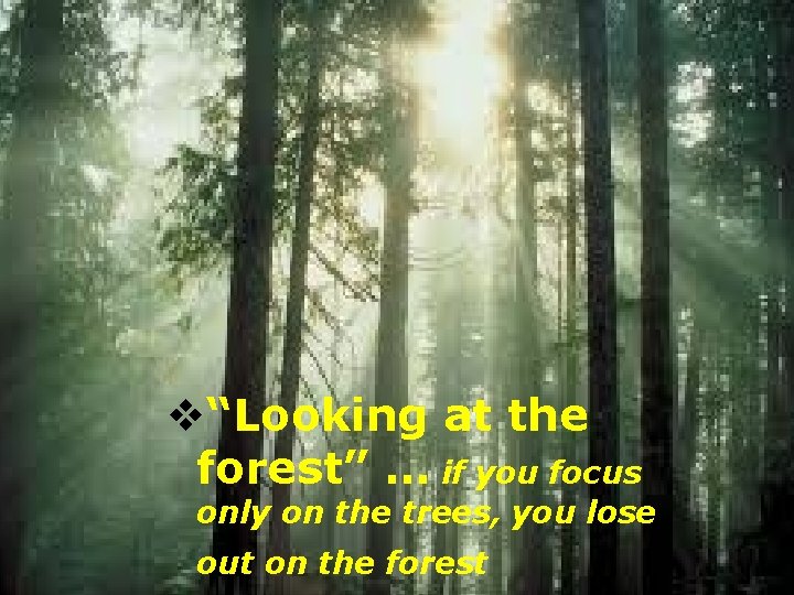 INSTITUTE OF TEACHER EDUCATION MALAYSIA MINISTRY OF EDUCATION MALAYSIA v“Looking at the forest” …