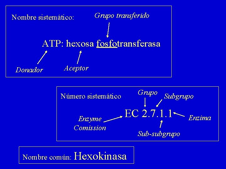 Nombre sistemático: Grupo transferido ATP: hexosa fosfotransferasa Donador Aceptor Grupo Subgrupo Número sistemático Enzyme