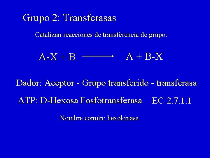 Grupo 2: Transferasas Catalizan reacciones de transferencia de grupo: A-X + B A +