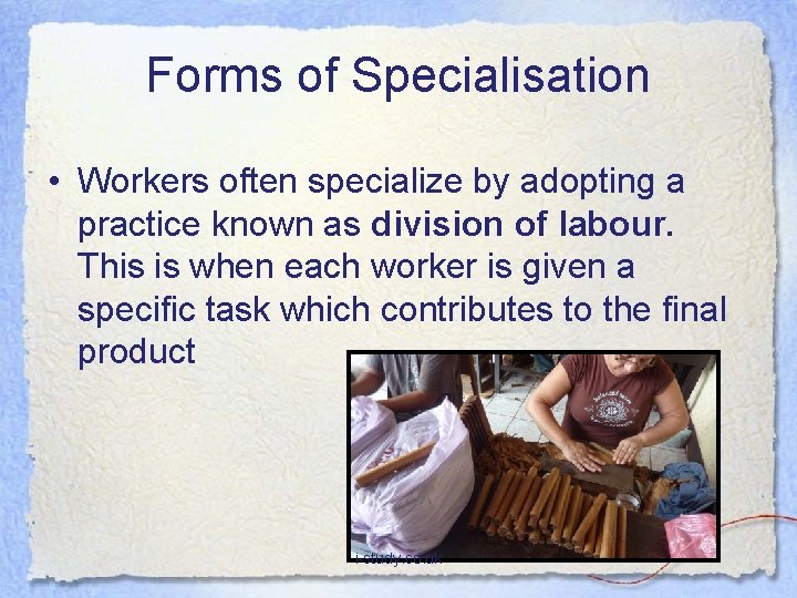 Forms of Specialisation • Workers often specialize by adopting a practice known as division
