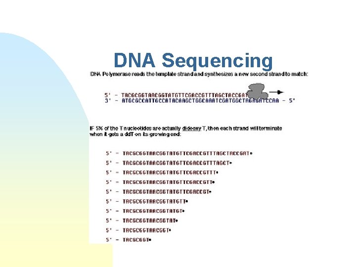 DNA Sequencing 