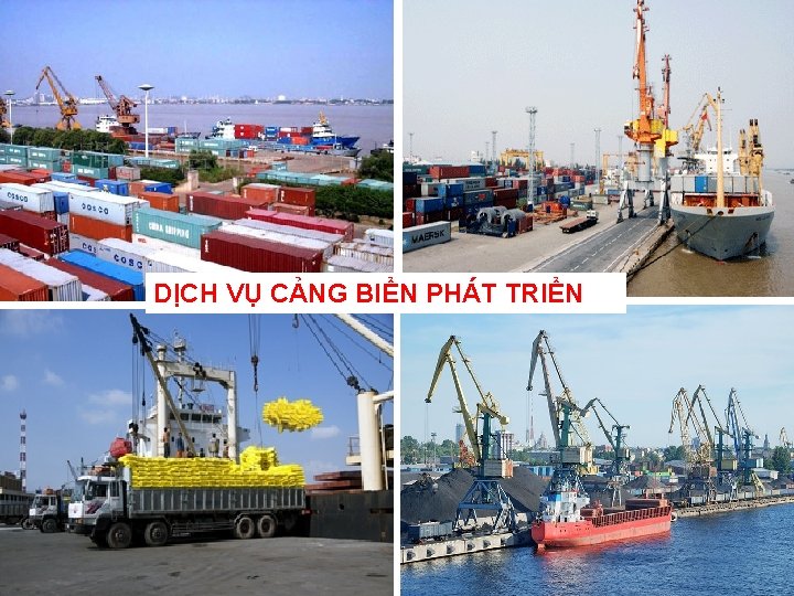 DỊCH VỤ CẢNG BIỂN PHÁT TRIỂN 