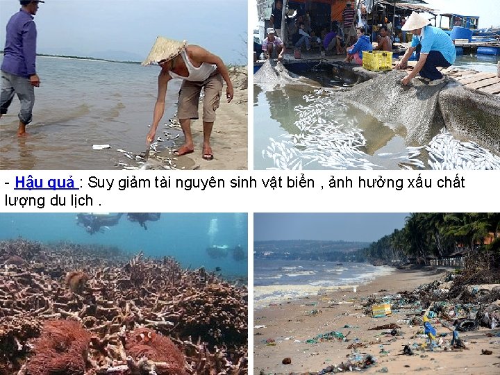 - Hậu quả : Suy giảm tài nguyên sinh vật biển , ảnh hưởng