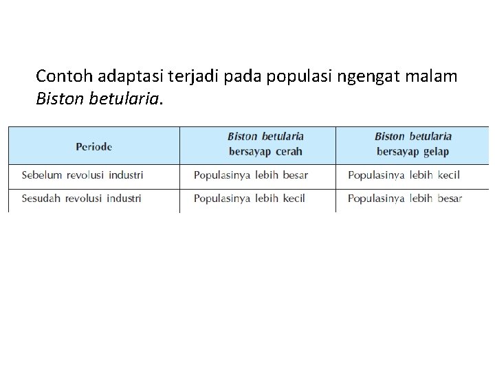 Contoh adaptasi terjadi pada populasi ngengat malam Biston betularia. Contoh adaptasi terjadi pada populasi ngengat malam Biston betularia.