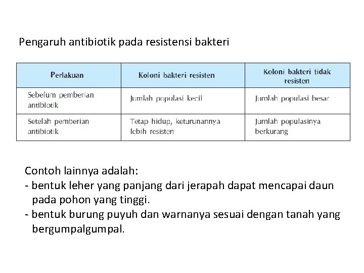 Pengaruh antibiotik pada resistensi bakteri Contoh lainnya adalah: - bentuk leher yang panjang dari Pengaruh antibiotik pada resistensi bakteri Contoh lainnya adalah: - bentuk leher yang panjang dari