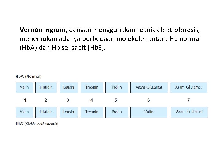 Vernon Ingram, dengan menggunakan teknik elektroforesis, menemukan adanya perbedaan molekuler antara Hb normal (Hb. Vernon Ingram, dengan menggunakan teknik elektroforesis, menemukan adanya perbedaan molekuler antara Hb normal (Hb.
