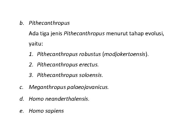 b. Pithecanthropus Ada tiga jenis Pithecanthropus menurut tahap evolusi, yaitu: 1. Pithecanthropus robustus (modjokertoensis). b. Pithecanthropus Ada tiga jenis Pithecanthropus menurut tahap evolusi, yaitu: 1. Pithecanthropus robustus (modjokertoensis).