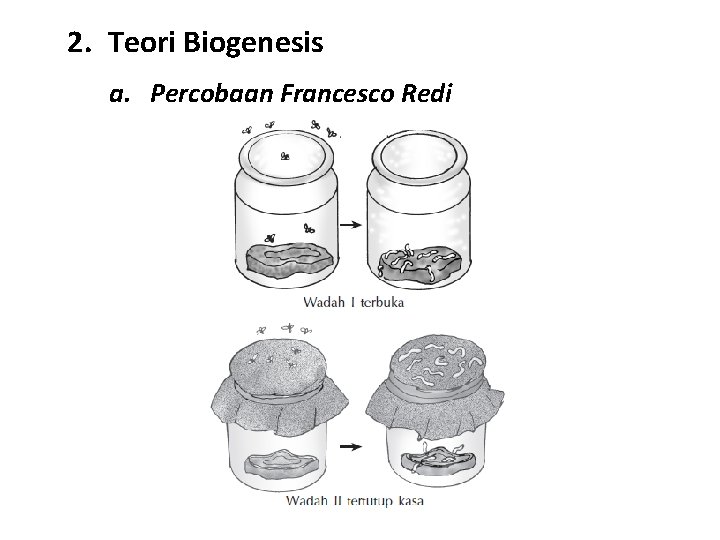 2. Teori Biogenesis a. Percobaan Francesco Redi 2. Teori Biogenesis a. Percobaan Francesco Redi