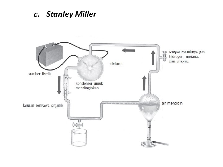 c. Stanley Miller c. Stanley Miller