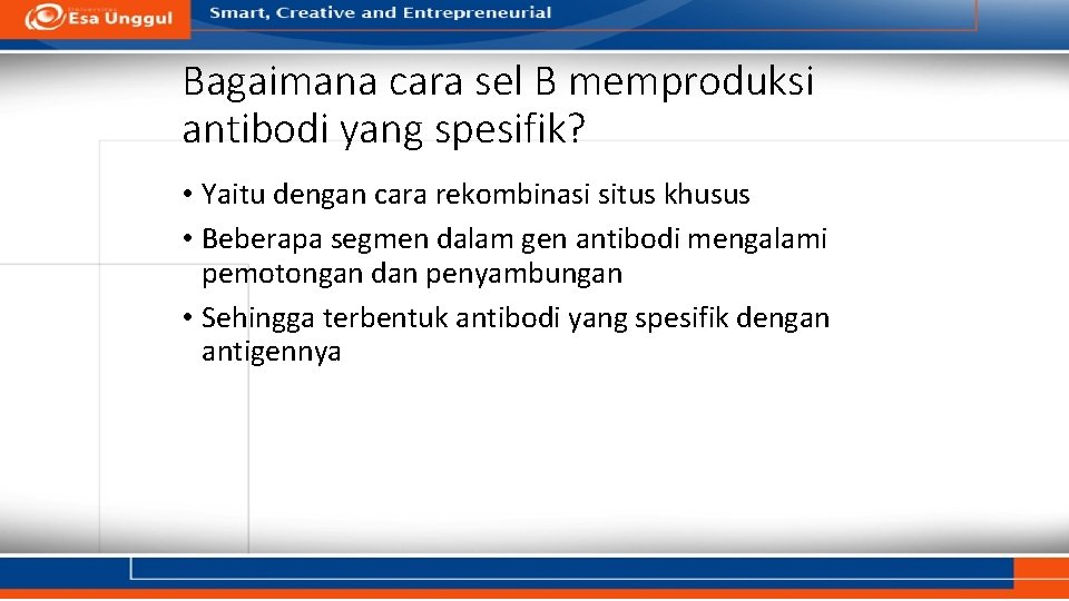 Bagaimana cara sel B memproduksi antibodi yang spesifik? • Yaitu dengan cara rekombinasi situs