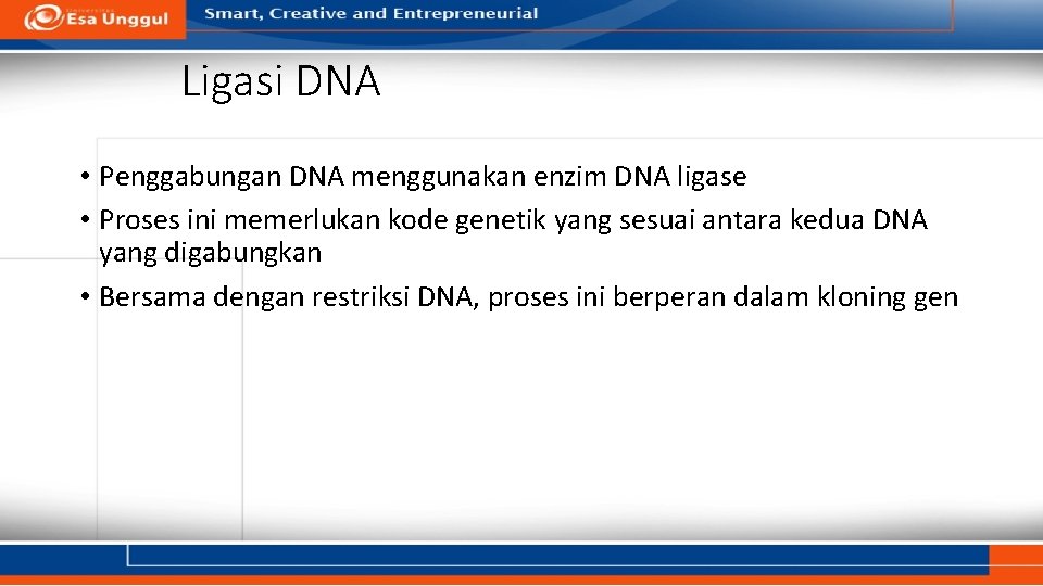 Ligasi DNA • Penggabungan DNA menggunakan enzim DNA ligase • Proses ini memerlukan kode