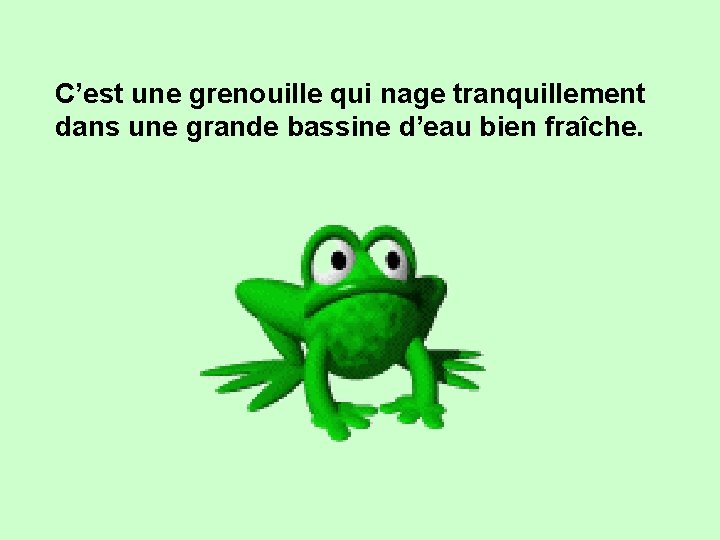 C’est une grenouille qui nage tranquillement dans une grande bassine d’eau bien fraîche. 