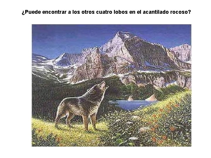 ¿Puede encontrar a los otros cuatro lobos en el acantilado rocoso? 