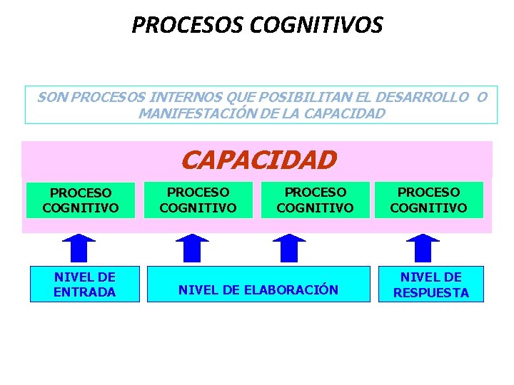 PROCESOS COGNITIVOS SON PROCESOS INTERNOS QUE POSIBILITAN EL DESARROLLO O MANIFESTACIÓN DE LA CAPACIDAD