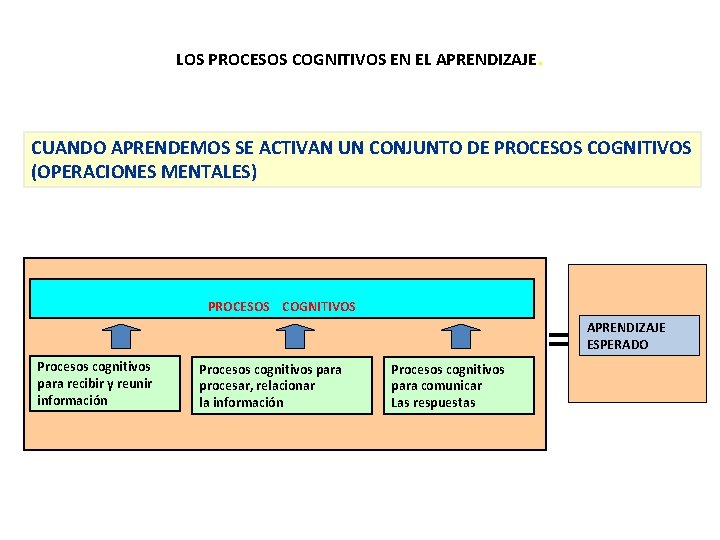 LOS PROCESOS COGNITIVOS EN EL APRENDIZAJE. CUANDO APRENDEMOS SE ACTIVAN UN CONJUNTO DE PROCESOS