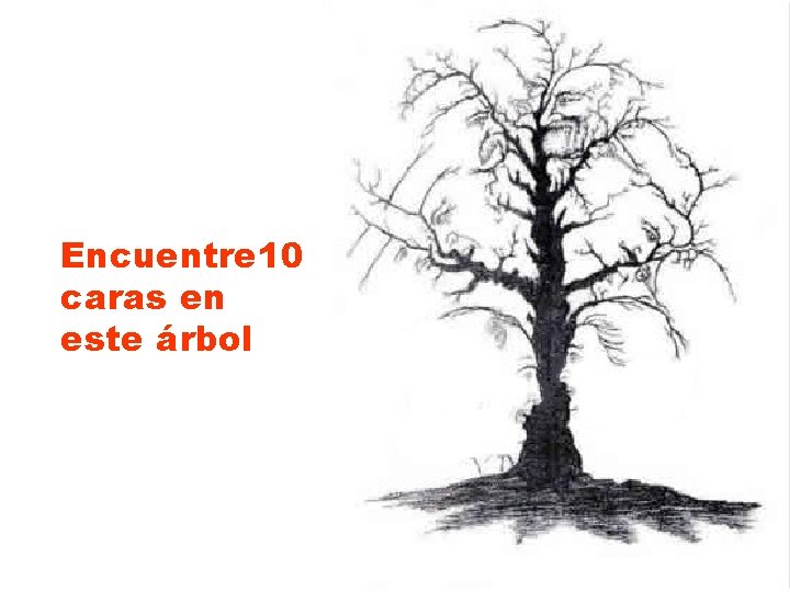 Encuentre 10 caras en este árbol 